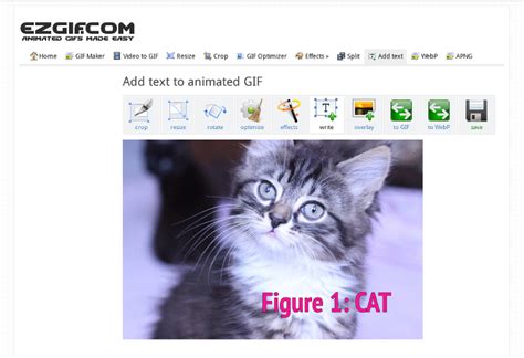 Add text to Animated GIF, APNG, WebP.